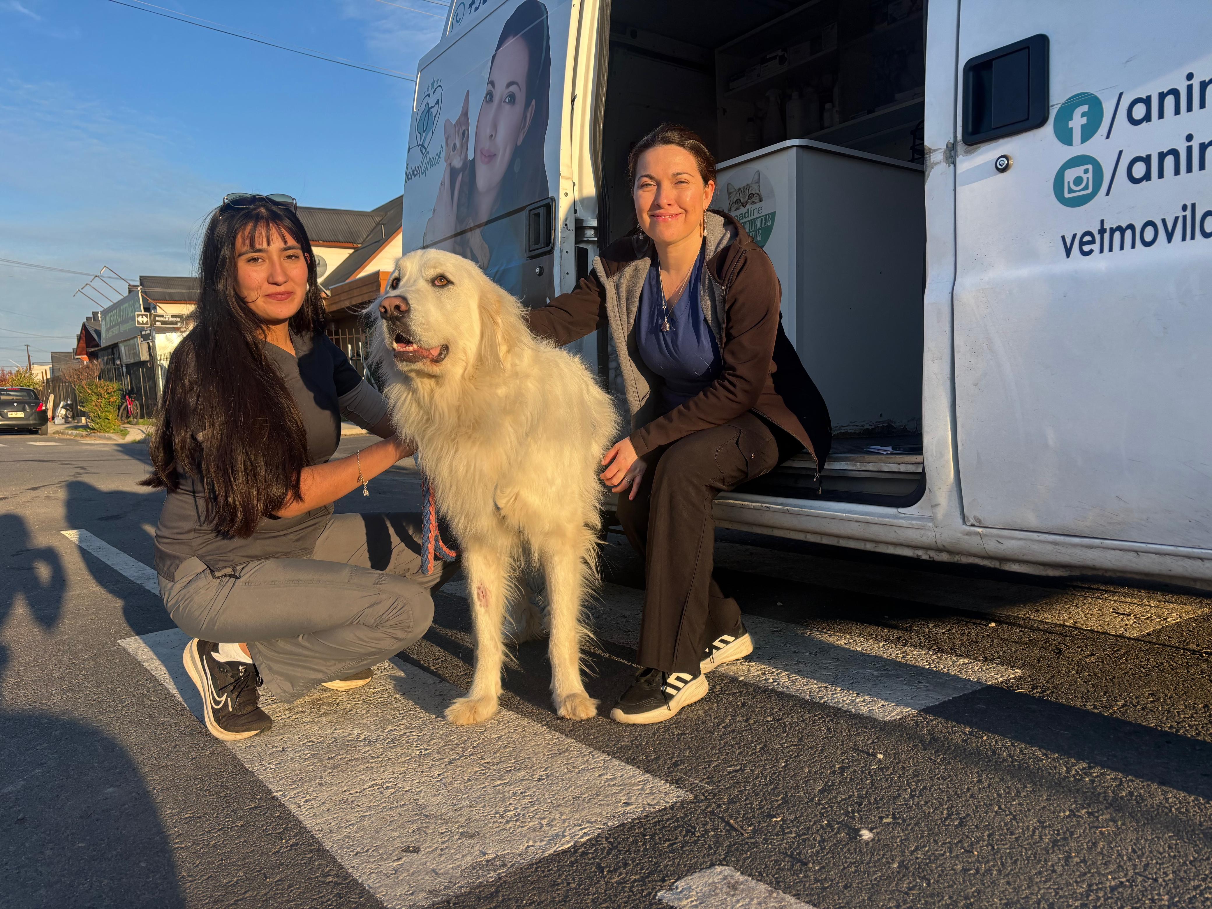 Dra. Claudia Barrera junto a su equipo y el van de Animalgrace, clínica veterinaria móvil en Chile